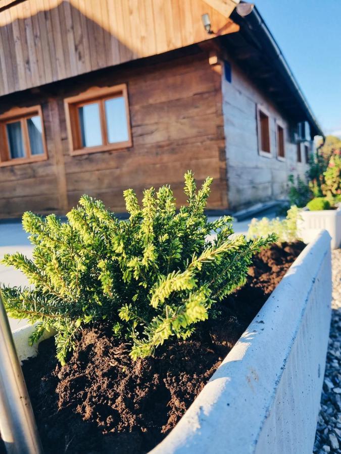 Ruralna Kuca Za Odmor Kablarovo Brdo Guest House Krnjak Exterior photo